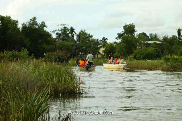 bongawan-img_0231.jpg