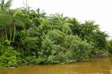 bongawan-img_0206