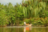 bongawan-img_6828