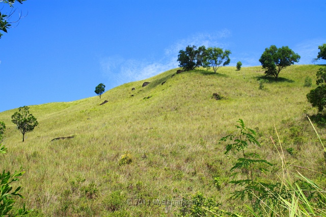 bukit-gundul-amg_7699.jpg