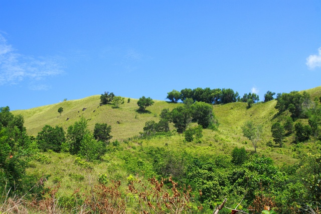 bukit-gundul-amg_7734.jpg