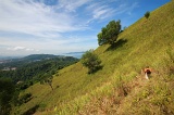 bukit-gundul-img_7681