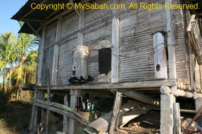 Stingless Bee farming