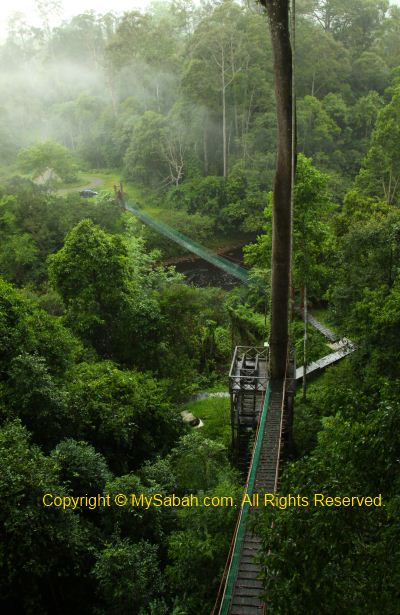 canopy walk