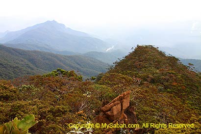 Tambuyukon Range