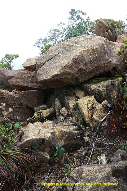 Ultramafic boulders