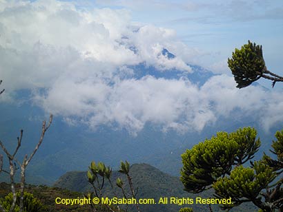 Mt. Kinabalu