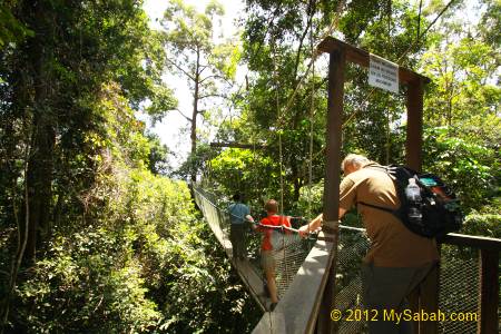 tourists on Canopy Walkway