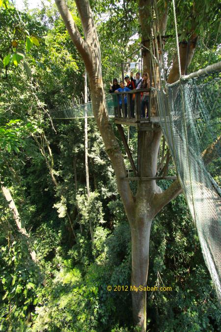 family on the platform of Canopy Walkway