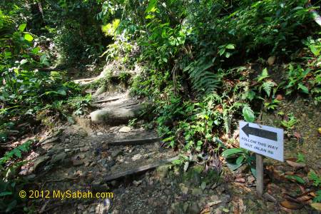 trail to Canopy Walkway of Poring
