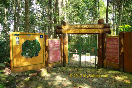 Tropical Garden of Poring