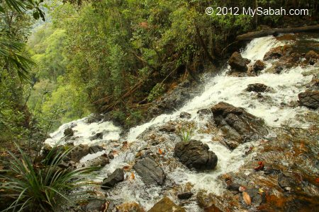 view from top of Tawai Waterfall