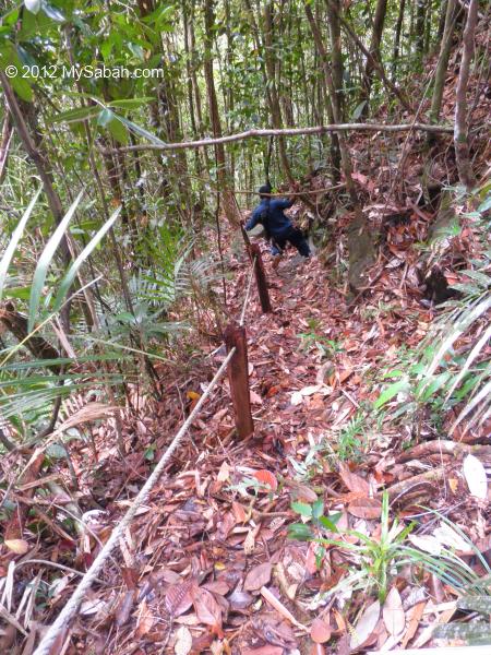 descending to Tawai Waterfall