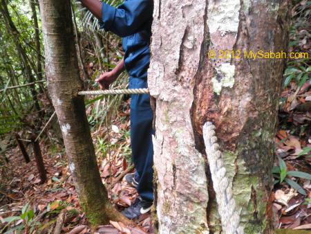 rope support along the trail