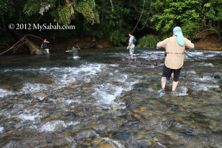 crossing Meliau River