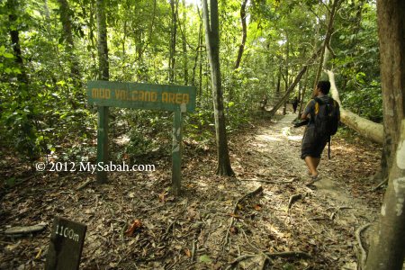 Mud volcano area