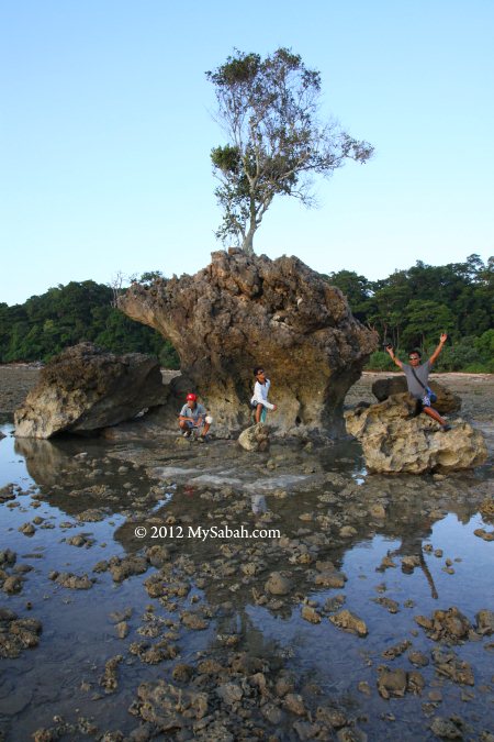 Bird Rock (Batu Burung)