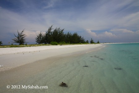 sandy beach of Pulau Kalampunian Besar