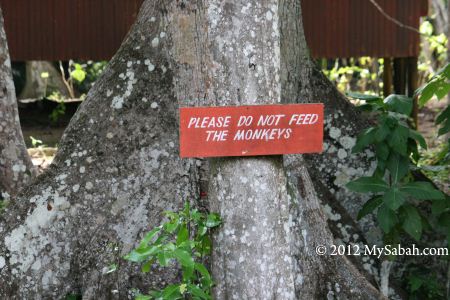 Signage: Do not feed the monkey