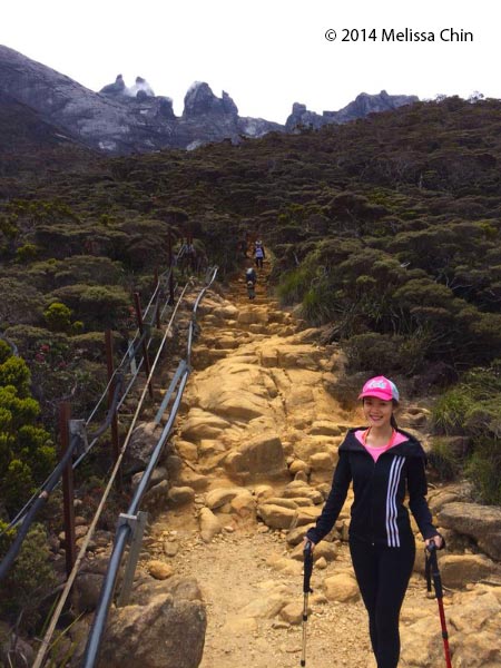 ultramafic forest of Kinabalu Park