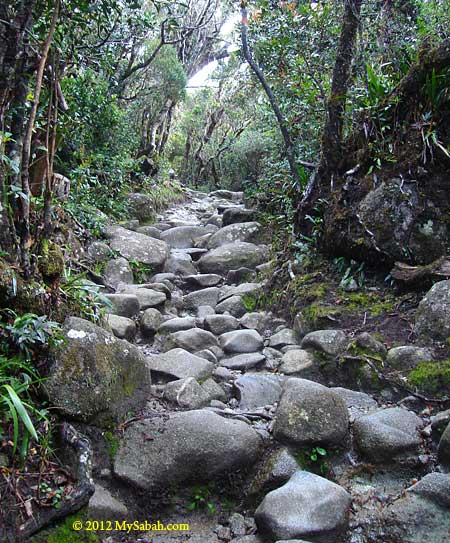 trail with big boulders