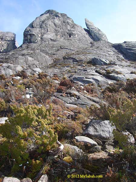 Tunku Abdul Rahman Peak of Mt. Kinabalu