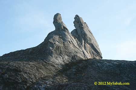 Donkey Ear Peak of Mt. Kinabalu