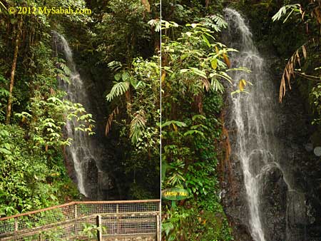 Carson Waterfall