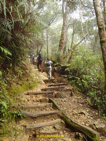 trail to Mt. Kinabalu