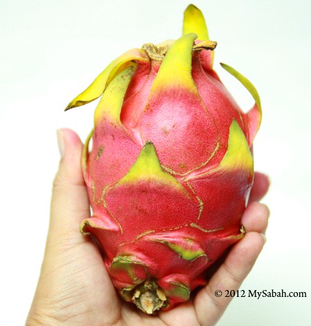 dragon fruit (white flesh)