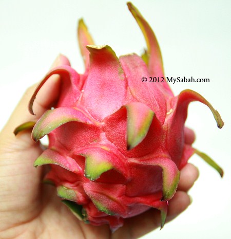 dragon fruit (red flesh)