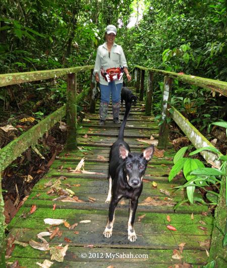 boardwalk to Simud Hitam cave