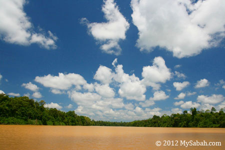 Kinabatangan Floodplain