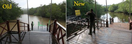 new boardwalk of Sepilok Laut Reception Centre