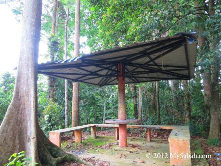 shelter on Bukit Tongkat Ali Hill