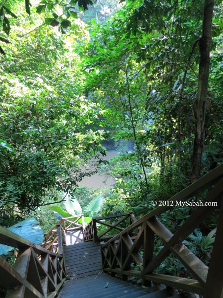 wooden staircase to Madai Waterfall