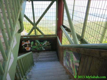 inside Tower of Heaven (Menara Kayangan)