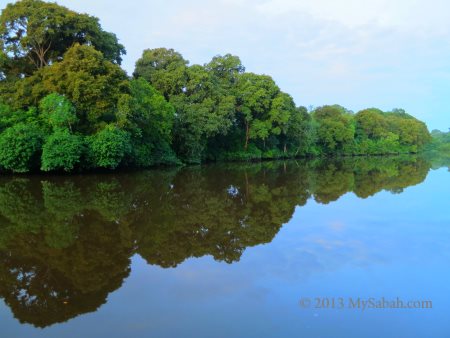 Klias River of Sabah