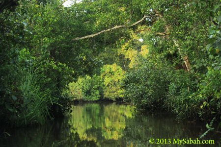 river cruise in Klias River