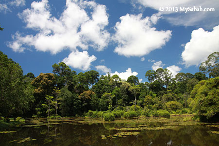 Pandan Lake of Taliwas