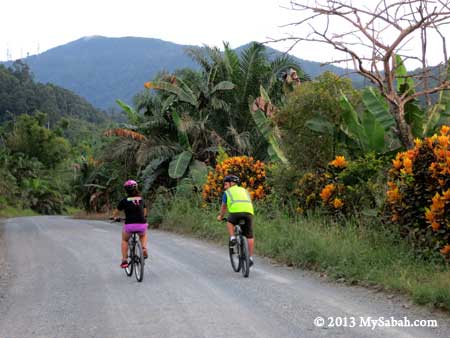 cycling in countryside