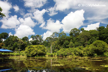 Pandan Lake in Taliwas Park