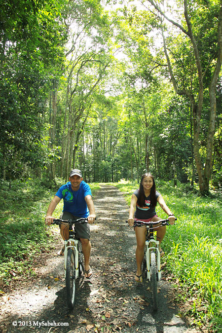 cycling in Taliwas forest