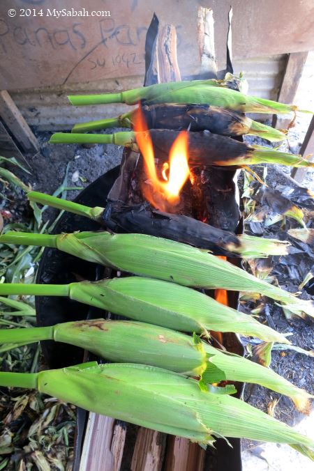 grilled corn