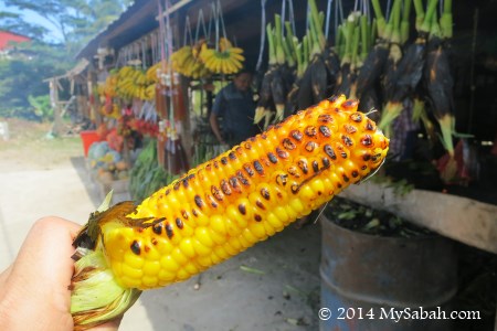 close up of grilled corn