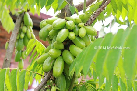 pickle fruit