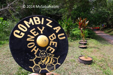 Gombizau honey bee farm