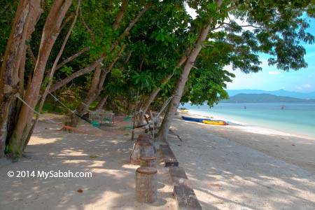 tree shade at the beach of Sepanggar Island