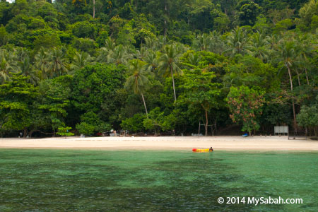 beach of Sepangar Island