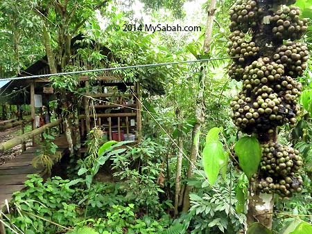 kitchen of Lupa Masa Camp